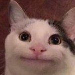 pimmypimmyshine's profile picture. SHine