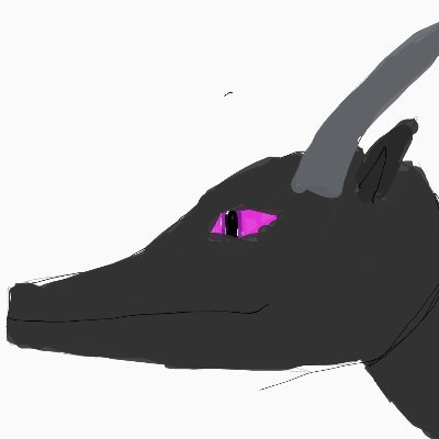 Ender_Wbswe's profile picture. type about:blank into your browser

do it

its fun