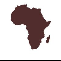 The African President (@mndlamini1) 's Twitter Profile
