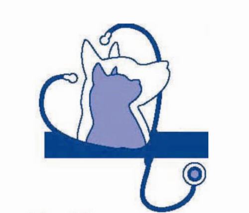 MonroeVets's profile picture. We are Monroe Veterinary Associates: A diverse, highly trained health care team providing quality health care to pets in greater Rochester, N.Y., community.