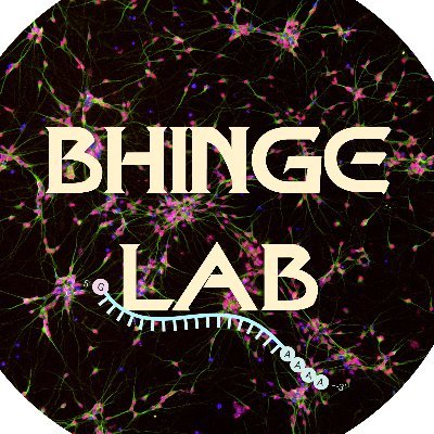 Bhinge Lab @LSI_Exeter | Passionate about curing Neurodegenerative Diseases | We love neurons, stem cells, animals🐾https://t.co/JGdNbj1MA8