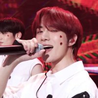 정하 (@sung_h_a) 's Twitter Profile