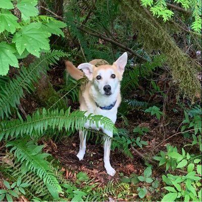 Hacker, international speaker, comic, wannabe chef, etc. I do AppSec stuff for a cool company you might have heard of. she/her
@jillianratliff@infosec.exchange
