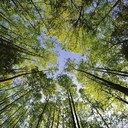 Caleb Dupuis - @MacondoTX - Twitter