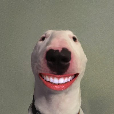@A__Teammate