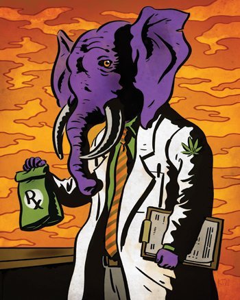Winners of Oakland Cannabis Clubs Best Co-op 2009 & 2010. Winners of http://t.co/2Pzc8HBxcX Best Bay Area Co-op 2009 & 2010. Home of the StrawBerry DIesel.