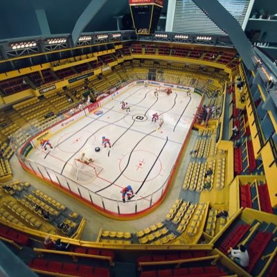 Custom built table hockey model of The Boston Garden and other old time hockey art. Instagram @oldtimetablehockey