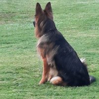 ChrisKay (@chris59643380) 's Twitter Profile
