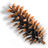 DrydenObserver's profile image