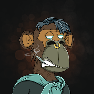 OsmanAhoNfts3's profile picture. Profesional Illustrator
 narayanastudio16#gmail.com
DM us if you need an illustrator !