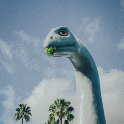 SunnyScenario's profile picture. 