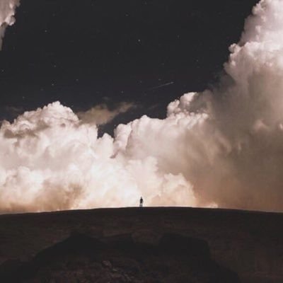 raodi24's profile picture. 