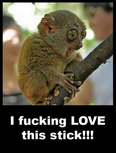 1shane15's profile picture. 