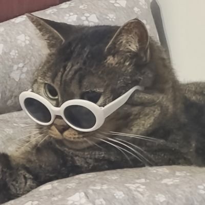 pocketpizzaa's profile picture. 