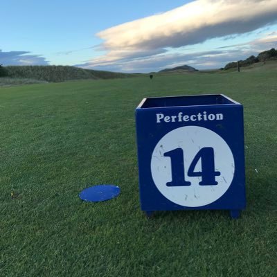 PortobelloMark's profile picture. fore right