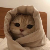 𝕯𝖔𝖒𝖎 (@dxmi78) 's Twitter Profile