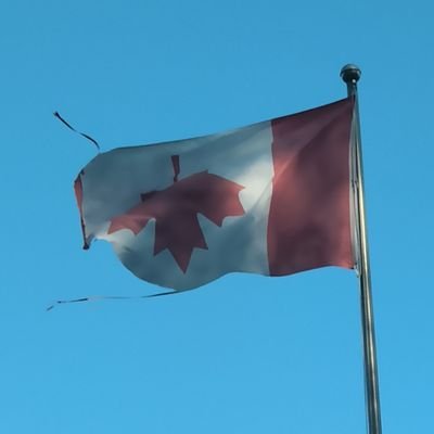 Daddy_AAC's profile picture. #Bitcoin #XX