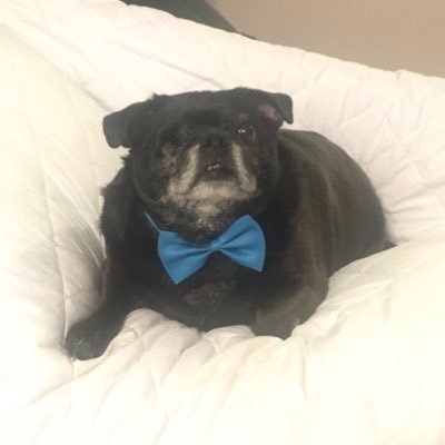 Teej__13's profile picture. Peace, love, and positivity!