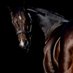 Bawaardi at Stud Vic (@bawaardivic) Twitter profile photo Bawaardi at Stud Vic (@bawaardivic) Twitter profile photo