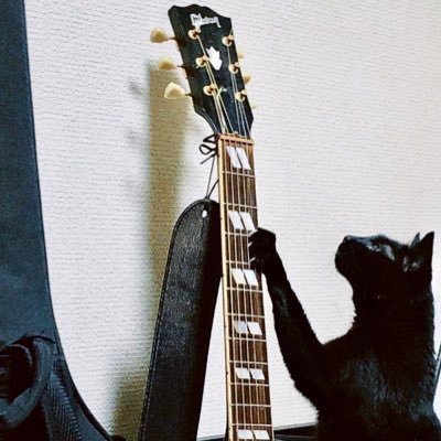 BUCK-TICK とTIGERS を愛し 鉄道、飛行機 旅が大好きです。LOVEBITESinc.新入社員。京都、兵庫北部を拠点に活動してます オルタナゴシックロックバンド type-ZERO @typeZEROkyoto にてギター等を担当しております。