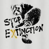 The hate, greed, racism, corruption, mass shootings, wars mean nothing if we have no planet and send every creature extinct including ourselves. #STOPEXTINCTION