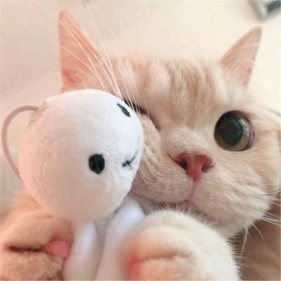 Mizzy ¡! ☽︎さんのプロフィール画像
