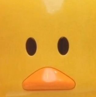 5flduck9's profile picture. 