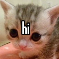 ordurfs's profile picture. gay person 🏳️‍🌈toodly toot. free palestine. 18+