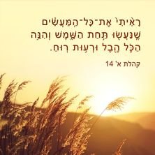 bn_mwsr's profile picture. .....גאה בדמו של יעקב
...אוהב שלום ושלום 
....
יש לנו שכל לחשוב בין נכון לרע
...
אני אוהב חיות וספורט
We love Israel as we love our blood