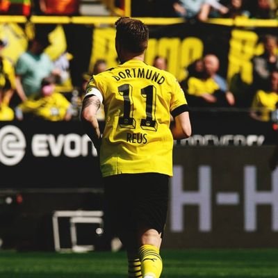 Statistic Student and Football Lover ⚽
Heja BVB 💛🖤
From 🇮🇹