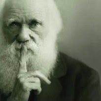 Fulfilling a vow of silence since 1998. Prophet of private serenity as a spreading contagion amongst mankind. Passionate about the 5th Amendment.