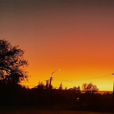 KiwinzbopM's profile picture.