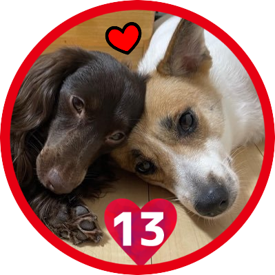 happydp44's profile picture. 田舎のおばさん🌸DAPUMP🌸ISSAは神❤生涯ISSA❤熟女部❤ISSA会❤赤組❤日常のことも❤️自信を持って中身の濃い日々を過ごして行く‼️時々毒吐き🤓🙏