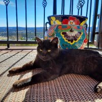 Gina S (@ginmgsp) 's Twitter Profile