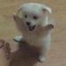훔냐 (@duwkwnwjq) Twitter profile photo 훔냐 (@duwkwnwjq) Twitter profile photo
