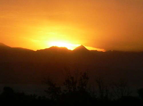 thegirlcurle's profile picture. 