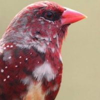 gem (@gemc137) 's Twitter Profile