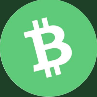 BitcoinCashSup1's profile picture. BitcoinCash:Peer to peer electronic cash system