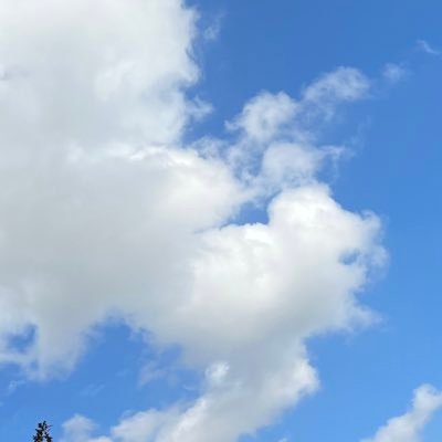 1LZBeos4TetL08M's profile picture. 科學 國際新聞