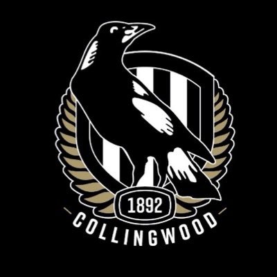 Likes : Apple 📱, Collingwood FC, Liverpool, Wrexham, TV/Movies, Rock/Metal 🤘& Vinyl Records