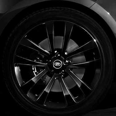 lg6xEwK4Wj6WWQ4's profile picture. 007