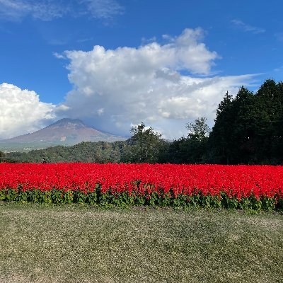 晴れの国 でひっそりと生きています。 音楽で何度も救われた。 好きな音楽 スピッツ、 エレファントカシマシ 、宮本浩次、bonobos、HUSKING BEE 、toe、クラムボン、seori 、奇妙礼太郎 、BTS、トイプードルの「スピカ」も我が家に来て13年。スピッツベルゲン会員、エレカシPAO会員