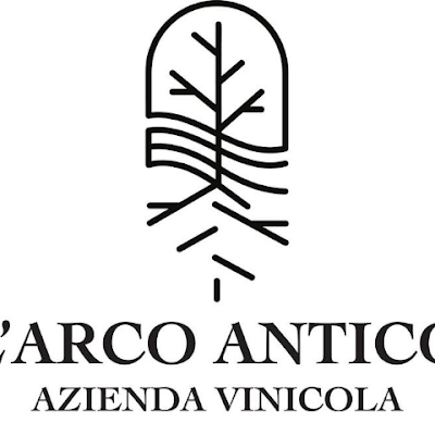 AZIENDA VINICOLA ha realizzato il sogno di creare grandi vini fondando una piccola cantina nei pressi della tenuta di famiglia. La vasta area intorno poteva già