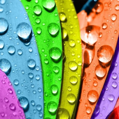 hundaloo's profile picture. 