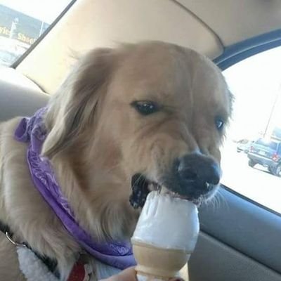 zmoniqx's profile picture. 