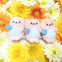 らっこねこ (@rakkokawaii7) 's Twitter Profile Photo