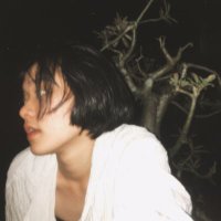TieuHa Nguyen (@nguyentieuha72) 's Twitter Profile