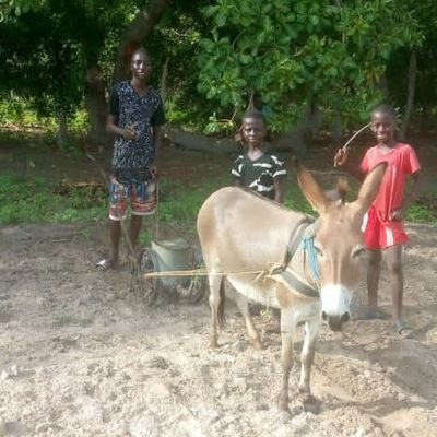 well my is name Mawdo I'm from the Gambia West Africa 🇬🇲 ..
I'm living with my family we are looking for help is there anyway you can help your bro please try