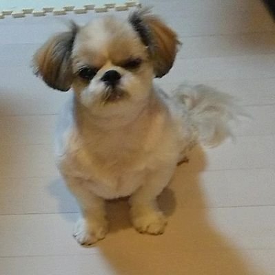 スラートさんのプロフィール画像