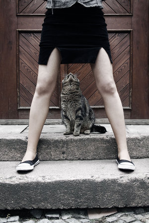 SirPerv's profile picture. Allow me to introduce myself, ladies.  I will be your new lover.